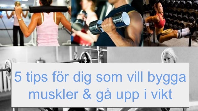 gå upp i vikt gym gå upp i vikt gym